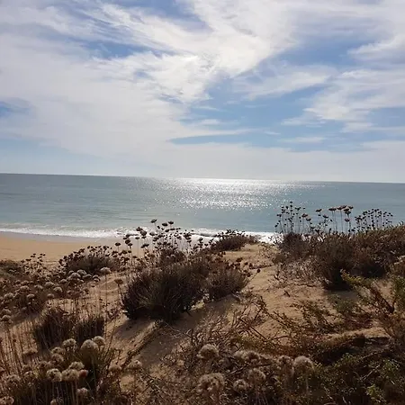 Sea View In Armacao De Pera, Algarve Pt Armação de Pêra